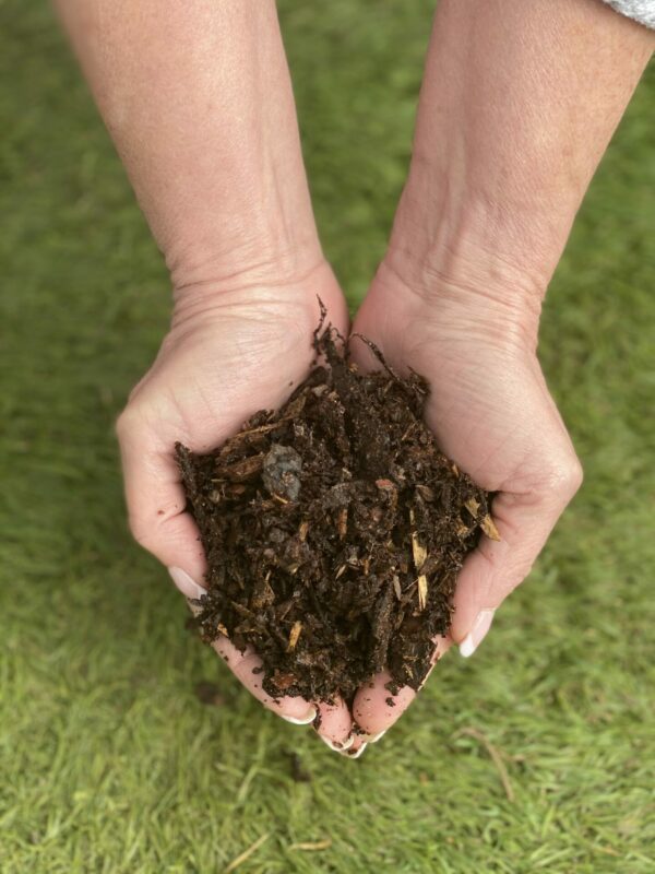 Pine Mulch - Image 3