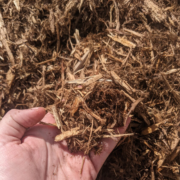 Cedar Mulch