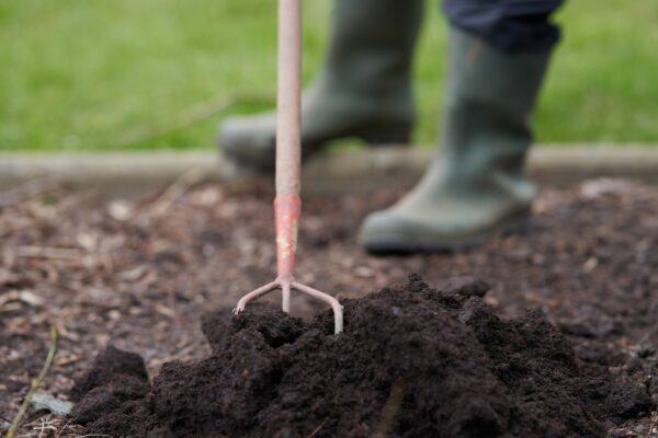 Mushroom Compost