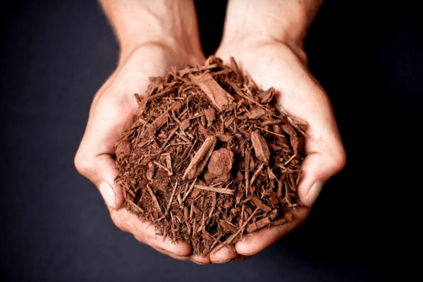 Hemlock Mulch