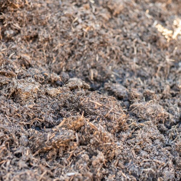 Mushroom Compost - Image 3