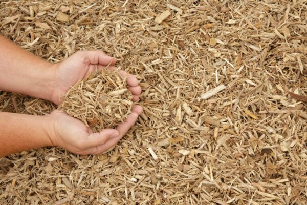 Certified Playground Mulch