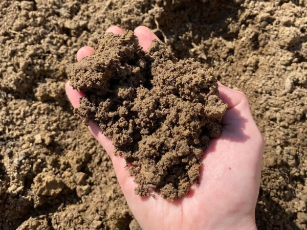 Bulk Triple Mix