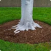 Cedar Mulch - Image 3