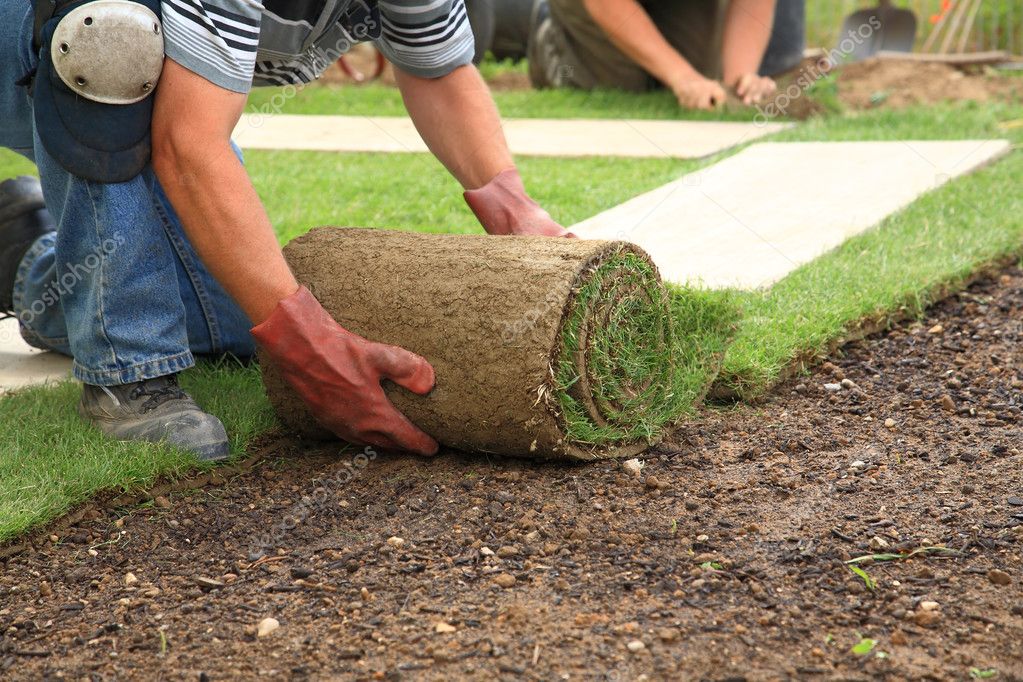 depositphotos_2972933-stock-photo-laying-sod-for-new-lawn