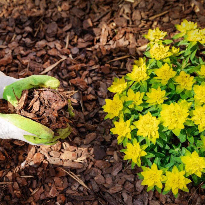Bulk mulch sold by Hard-Co in Whitby
