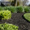 Black Mulch - Image 3