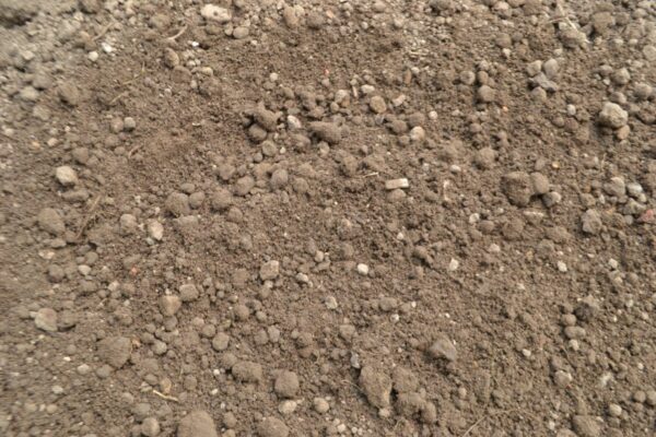 Bulk Screened Topsoil